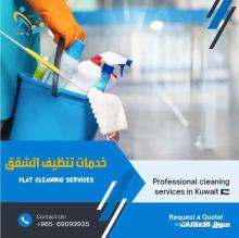 شركة تنظيف الاميكا